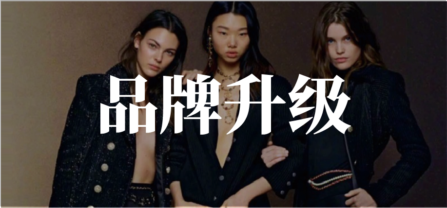 品牌升级咨询服务