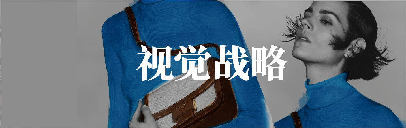 视觉战略咨询服务